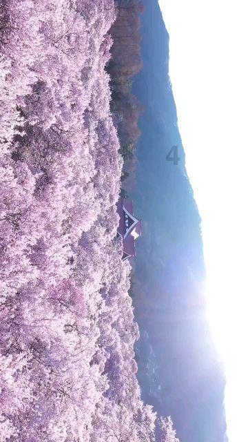 和谐同方:专业医美 演绎美丽信仰卓越之旅