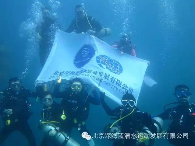 小猫钓鱼游戏龙王版有船