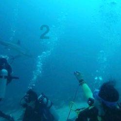 海贼王1106话情报,龙带着革命军来了,路飞化身第6档父子联手