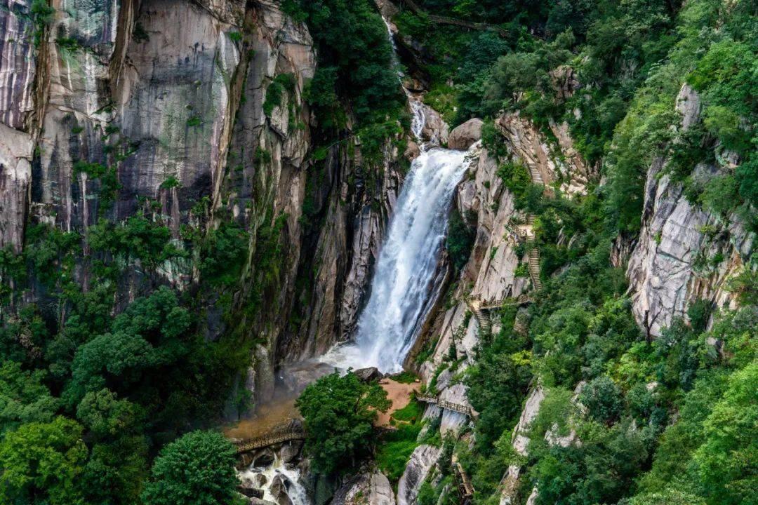 小红帽的冒险之旅