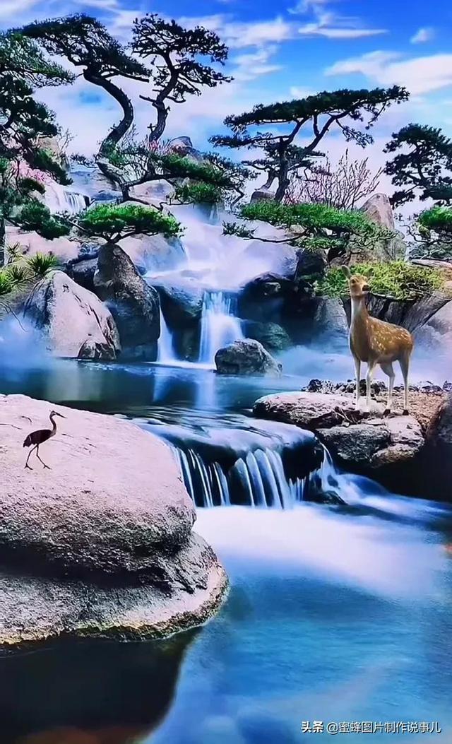 海贼王伟大冒险