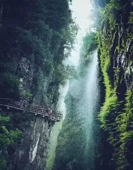足球啦啦队员